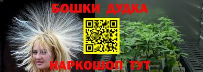 крисы Абакан