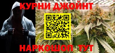 крисы Абакан