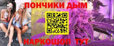 крисы Абакан