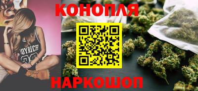 крисы Абакан