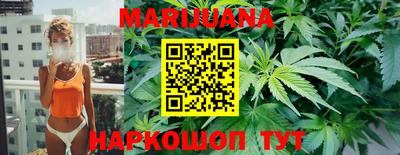 крисы Абакан