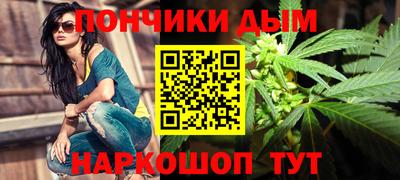 крисы Абакан