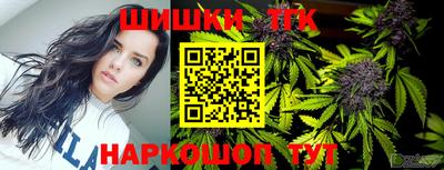 крисы Абакан