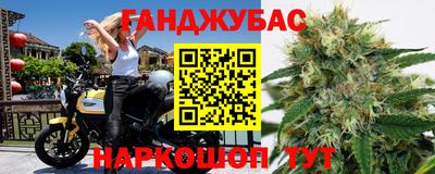 прущие грибы Шахты