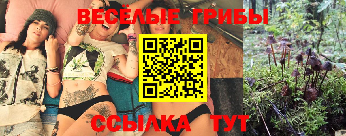 где можно купить   Вход с VPN  Амурск  Галлюциногенные грибы мицелий 